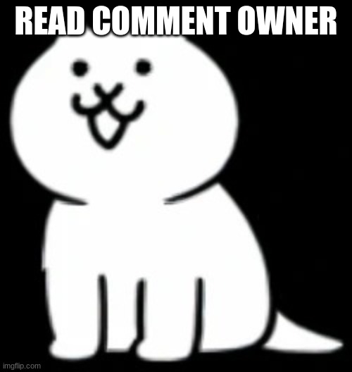 do it | READ COMMENT OWNER | image tagged in modern cat my beloved,cot,memes,funny,comment,why | made w/ Imgflip meme maker