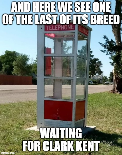 Superman | AND HERE WE SEE ONE OF THE LAST OF ITS BREED; WAITING FOR CLARK KENT | image tagged in funny | made w/ Imgflip meme maker