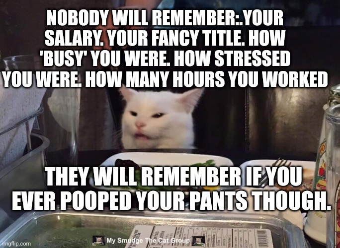 NOBODY WILL REMEMBER:.YOUR SALARY. YOUR FANCY TITLE. HOW 'BUSY' YOU WERE. HOW STRESSED YOU WERE. HOW MANY HOURS YOU WORKED; THEY WILL REMEMBER IF YOU EVER POOPED YOUR PANTS THOUGH. | image tagged in smudge the cat | made w/ Imgflip meme maker