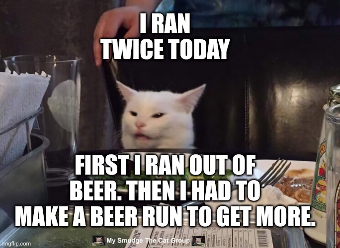 I RAN TWICE TODAY; FIRST I RAN OUT OF BEER. THEN I HAD TO MAKE A BEER RUN TO GET MORE. | image tagged in smudge the cat | made w/ Imgflip meme maker