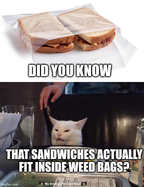 DID YOU KNOW; THAT SANDWICHES ACTUALLY FIT INSIDE WEED BAGS? | image tagged in smudge the cat | made w/ Imgflip meme maker