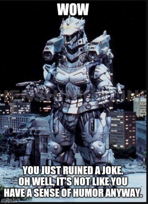 Use This When Someone Ruins A Joke | image tagged in use this when someone ruins a joke | made w/ Imgflip meme maker