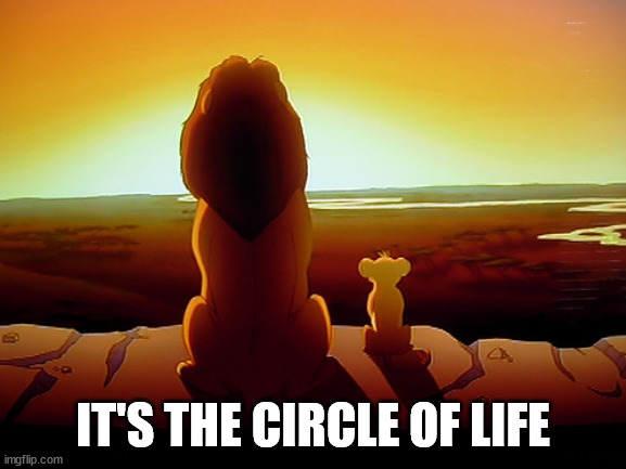Lion King Meme | IT'S THE CIRCLE OF LIFE | image tagged in memes,lion king | made w/ Imgflip meme maker
