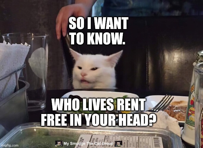 SO I WANT TO KNOW. WHO LIVES RENT FREE IN YOUR HEAD? | image tagged in smudge the cat | made w/ Imgflip meme maker