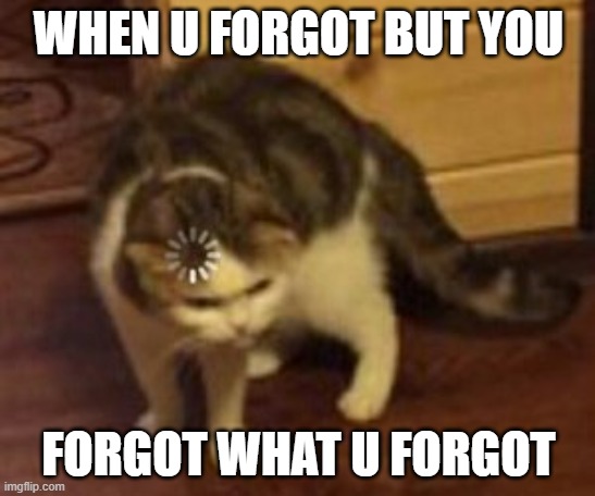 Loading cat | WHEN U FORGOT BUT YOU; FORGOT WHAT U FORGOT | image tagged in loading cat,good | made w/ Imgflip meme maker