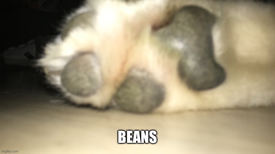 BEANS | made w/ Imgflip meme maker