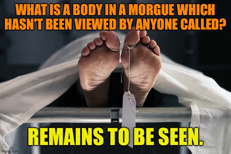 Body in morgue | WHAT IS A BODY IN A MORGUE WHICH HASN'T BEEN VIEWED BY ANYONE CALLED? REMAINS TO BE SEEN. | image tagged in facebook morgue,body,to be viewed,remains,seen,dark humour | made w/ Imgflip meme maker
