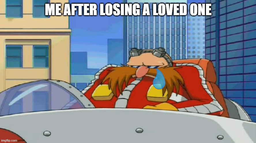 First world problems | ME AFTER LOSING A LOVED ONE | image tagged in eggman is disappointed - sonic x,memes,relatable | made w/ Imgflip meme maker