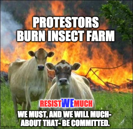 Evil Cows | PROTESTORS BURN INSECT FARM; RESIST         MUCH; WE; WE MUST, AND WE WILL MUCH- 
ABOUT THAT- BE COMMITTED. | image tagged in memes,evil cows | made w/ Imgflip meme maker