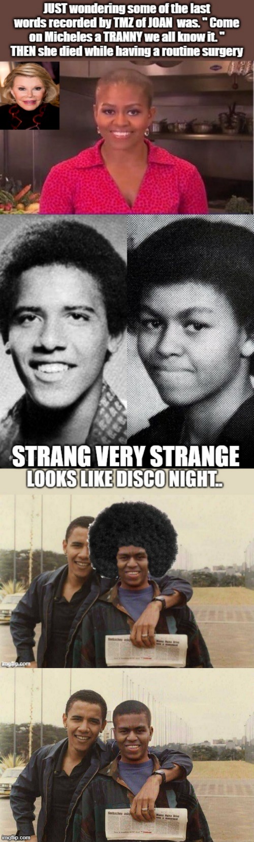 IT's time to know.. was the #1 illegal pres  also lieing about MIKE? JOAN knew | image tagged in democrat | made w/ Imgflip meme maker