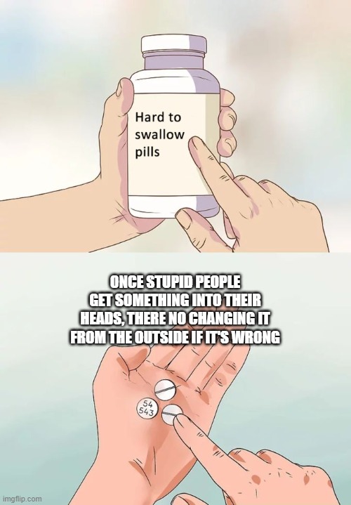 The frustrating plight of the well-informed. | ONCE STUPID PEOPLE GET SOMETHING INTO THEIR HEADS, THERE NO CHANGING IT FROM THE OUTSIDE IF IT'S WRONG | image tagged in memes,hard to swallow pills | made w/ Imgflip meme maker