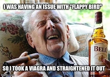 Cool Old Man | I WAS HAVING AN ISSUE WITH "FLAPPY BIRD" SO I TOOK A VIAGRA AND STRAIGHTENED IT OUT | image tagged in cool old man | made w/ Imgflip meme maker