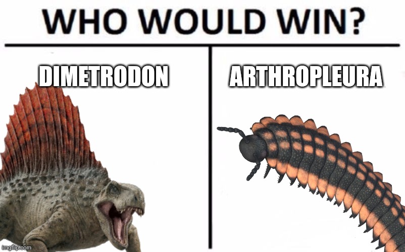 Sail Back Boi vs Big Millipede Boi | DIMETRODON; ARTHROPLEURA | image tagged in who would win,prehistoric,animals | made w/ Imgflip meme maker