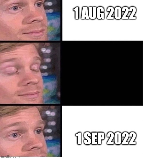 Okay | 1 AUG 2022; 1 SEP 2022 | image tagged in blinking guy vertical blank | made w/ Imgflip meme maker