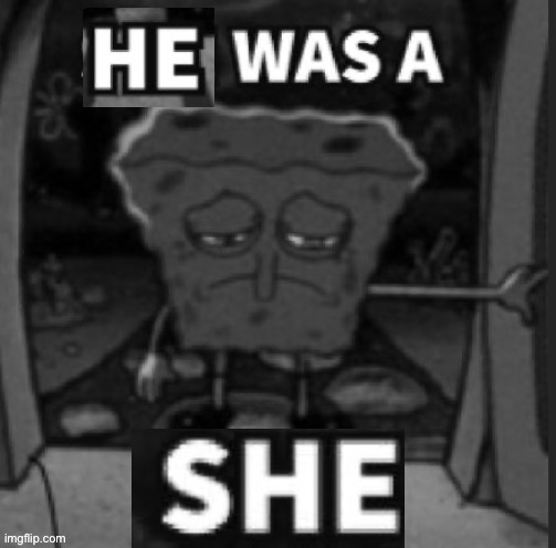 He was a She | image tagged in he was a she | made w/ Imgflip meme maker