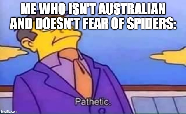 skinner pathetic | ME WHO ISN'T AUSTRALIAN AND DOESN'T FEAR OF SPIDERS: | image tagged in skinner pathetic | made w/ Imgflip meme maker