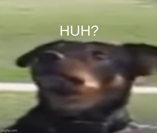 huh? | HUH? | image tagged in dog | made w/ Imgflip meme maker