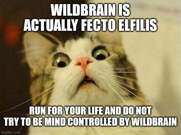 Scared Cat Meme | WILDBRAIN IS ACTUALLY FECTO ELFILIS; RUN FOR YOUR LIFE AND DO NOT TRY TO BE MIND CONTROLLED BY WILDBRAIN | image tagged in scared cat,strawberry shortcake,strawberry shortcake berry in the big city,kirby | made w/ Imgflip meme maker