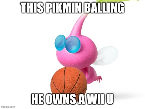 Pink Pikmin be ballin' | THIS PIKMIN BALLING; HE OWNS A WII U | image tagged in pink pikmin be ballin' | made w/ Imgflip meme maker