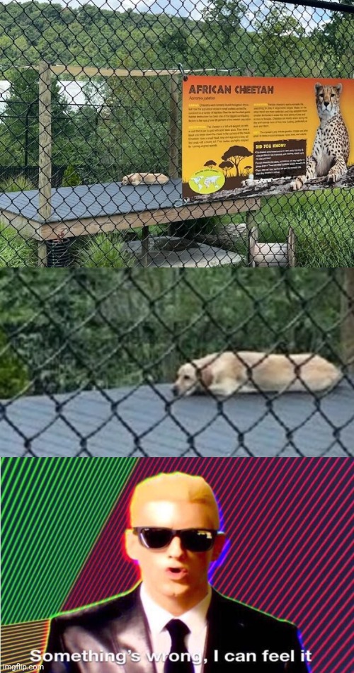 That ain't it chief | image tagged in something s wrong,memes,unfunny | made w/ Imgflip meme maker