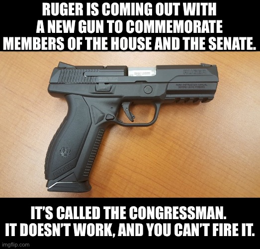 Ruger | RUGER IS COMING OUT WITH A NEW GUN TO COMMEMORATE MEMBERS OF THE HOUSE AND THE SENATE. IT’S CALLED THE CONGRESSMAN.  IT DOESN’T WORK, AND YOU CAN’T FIRE IT. | image tagged in congress | made w/ Imgflip meme maker