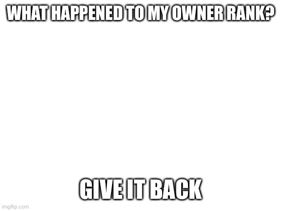 Bruh | WHAT HAPPENED TO MY OWNER RANK? GIVE IT BACK | image tagged in blank white template,memes,not really pokemon,owner,bruh,why are you reading this | made w/ Imgflip meme maker