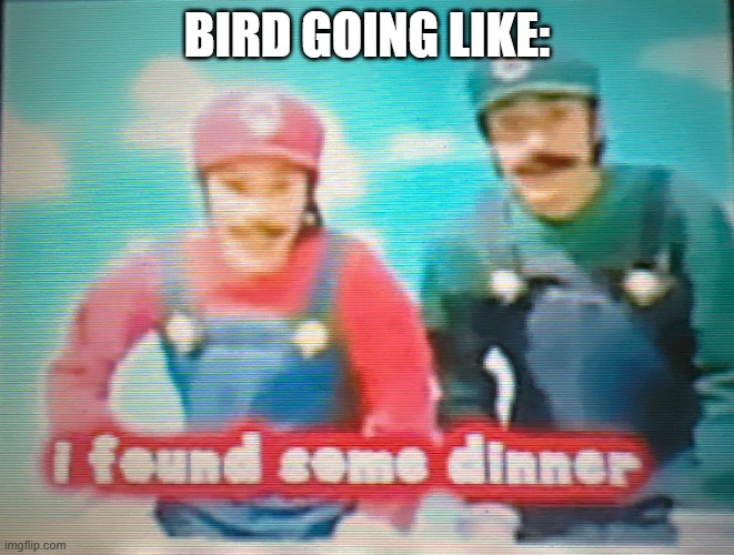 Mario: I found some dinner | BIRD GOING LIKE: | image tagged in mario i found some dinner | made w/ Imgflip meme maker