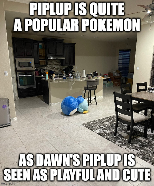 Piplup Plush | PIPLUP IS QUITE A POPULAR POKEMON; AS DAWN'S PIPLUP IS SEEN AS PLAYFUL AND CUTE | image tagged in piplup,pokemon,memes | made w/ Imgflip meme maker