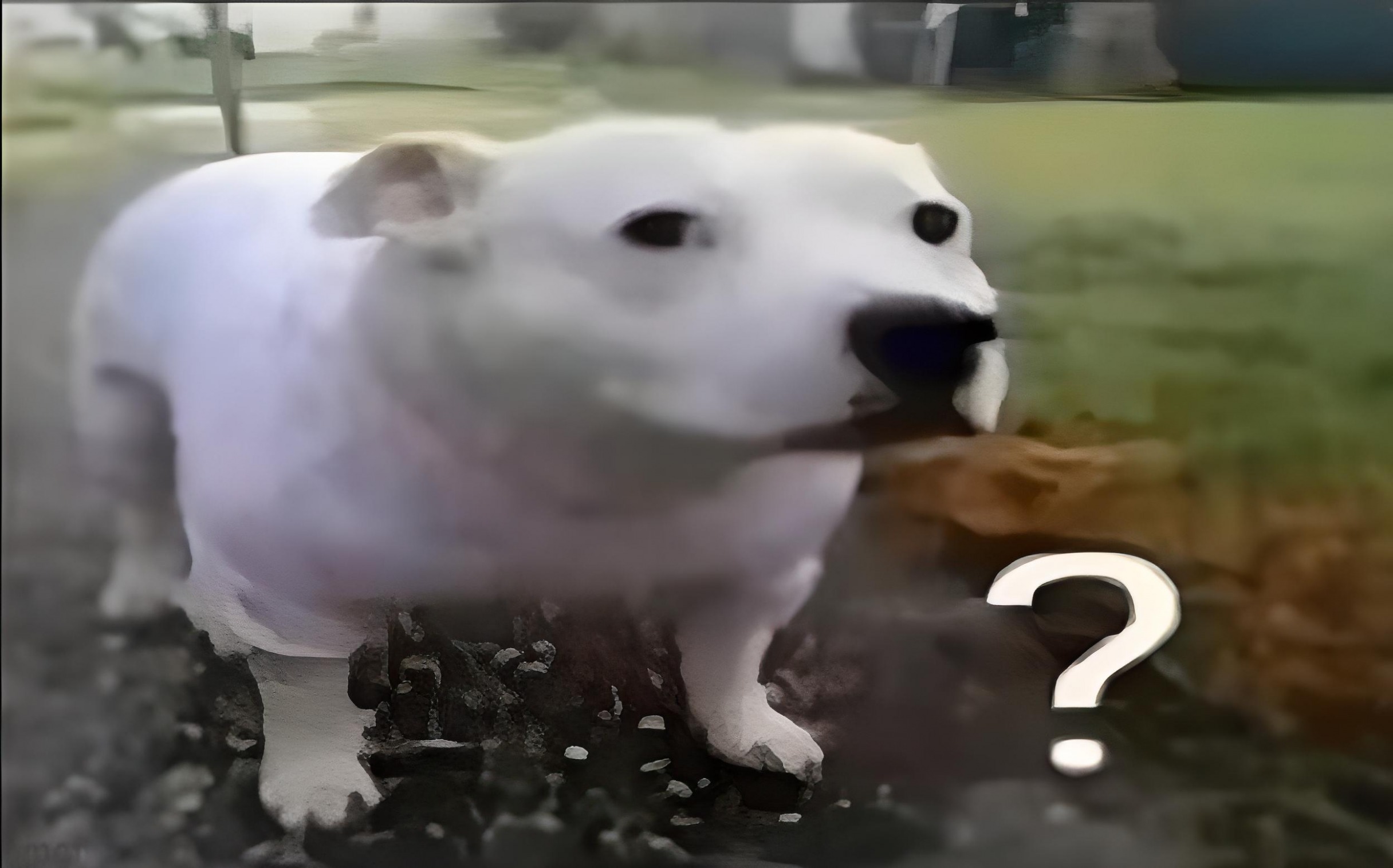 Huh Dog Blank Meme Template