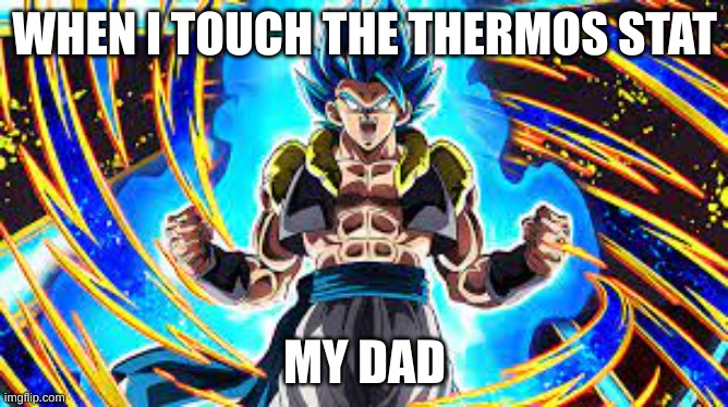 bro this is facts | WHEN I TOUCH THE THERMOS STAT; MY DAD | image tagged in goku,dad,funny memes | made w/ Imgflip meme maker