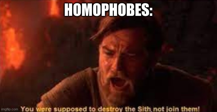 you were supposed to destroy the sith! | HOMOPHOBES: | image tagged in you were supposed to destroy the sith | made w/ Imgflip meme maker