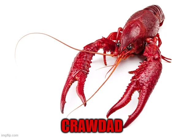 CRAWDAD | CRAWDAD | image tagged in bug | made w/ Imgflip meme maker