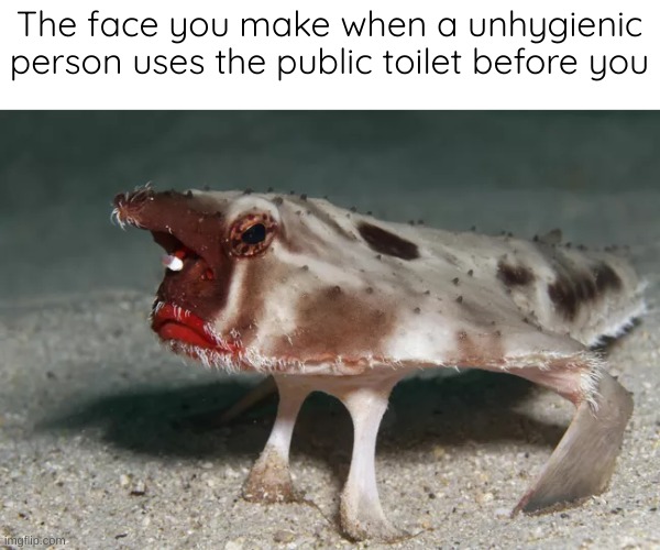Disgusting | The face you make when a unhygienic person uses the public toilet before you | image tagged in not happy | made w/ Imgflip meme maker
