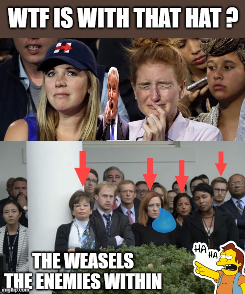 REPEAT after me " THE NWO DEMrat/RINOrats stole the election & plan on doing it again" | WTF IS WITH THAT HAT ? THE WEASELS THE ENEMIES WITHIN | image tagged in democrat | made w/ Imgflip meme maker