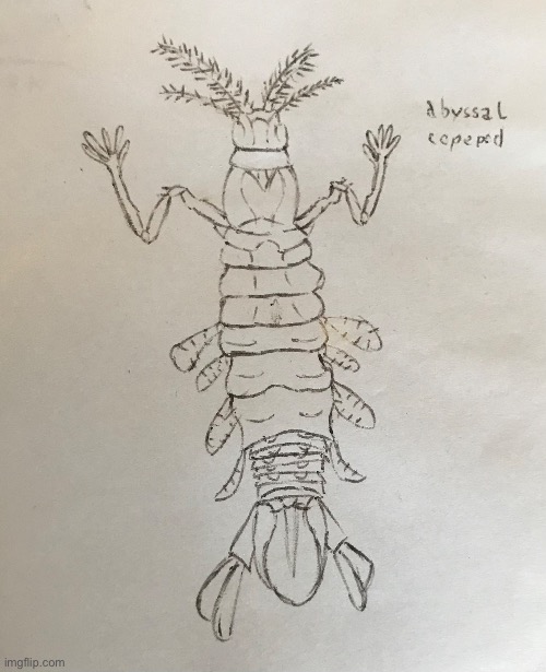 extra old sketch of an Abyssal Copepod | made w/ Imgflip meme maker