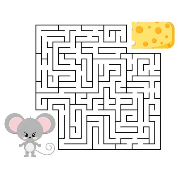 mouse maze Blank Meme Template