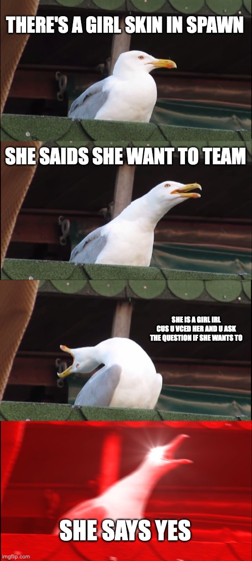 Inhaling Seagull Meme | THERE'S A GIRL SKIN IN SPAWN; SHE SAIDS SHE WANT TO TEAM; SHE IS A GIRL IRL CUS U VCED HER AND U ASK THE QUESTION IF SHE WANTS TO; SHE SAYS YES | image tagged in memes,inhaling seagull | made w/ Imgflip meme maker
