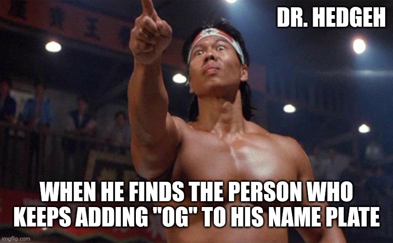 Dr. Hedgeh | DR. HEDGEH; WHEN HE FINDS THE PERSON WHO KEEPS ADDING "OG" TO HIS NAME PLATE | image tagged in martial arts chong li pointing angry,fun,name,hedgehog | made w/ Imgflip meme maker