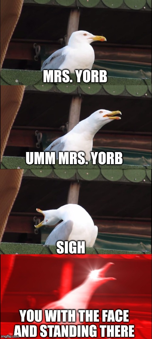 Inhaling Seagull | MRS. YORB; UMM MRS. YORB; SIGH; YOU WITH THE FACE AND STANDING THERE | image tagged in memes,inhaling seagull | made w/ Imgflip meme maker