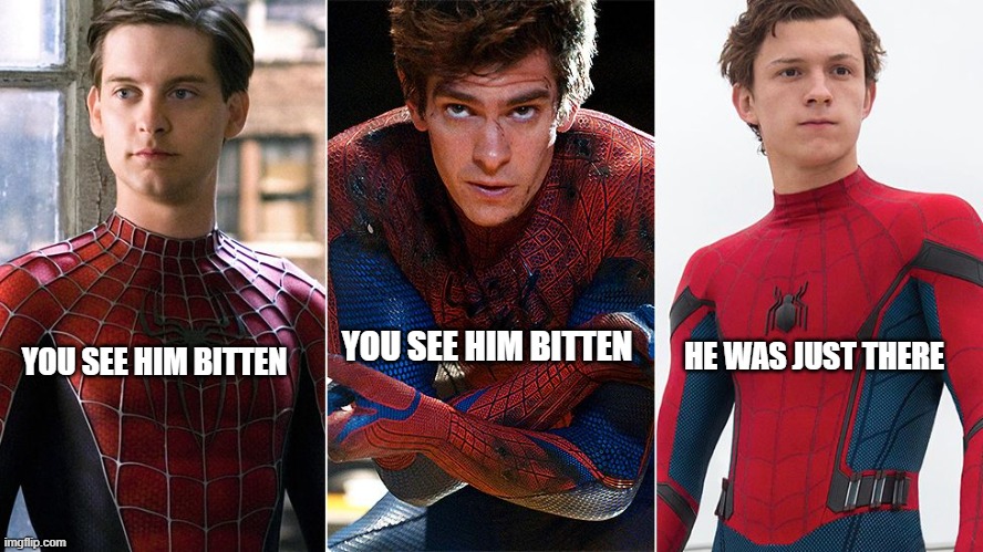 They all have beginnings, except one | YOU SEE HIM BITTEN; HE WAS JUST THERE; YOU SEE HIM BITTEN | image tagged in spidey,spiderman | made w/ Imgflip meme maker