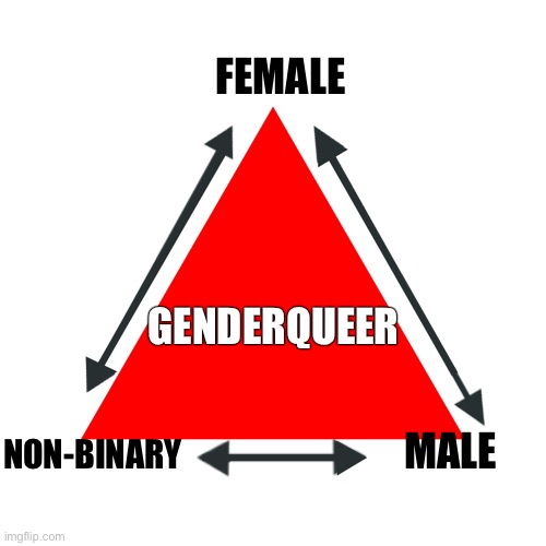 Gender identities - there are more than two genders | FEMALE; GENDERQUEER; NON-BINARY; MALE | image tagged in drama triangle consequences loop,genderqueer,lgbtiqqa,lgbtq,gender identity | made w/ Imgflip meme maker