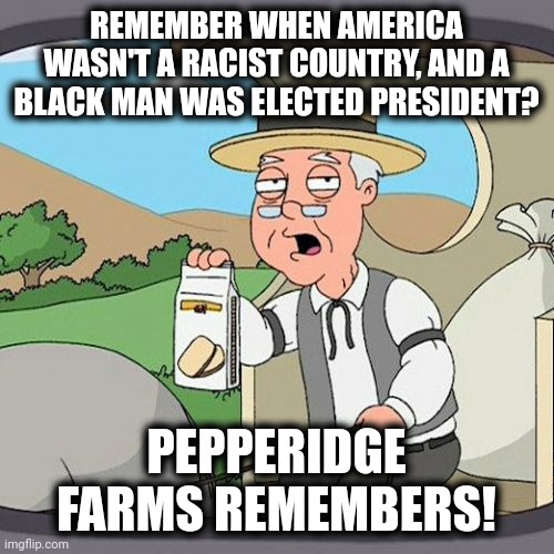 Pepperidge Farm Remembers Meme | REMEMBER WHEN AMERICA WASN'T A RACIST COUNTRY, AND A BLACK MAN WAS ELECTED PRESIDENT? PEPPERIDGE FARMS REMEMBERS! | image tagged in memes,pepperidge farm remembers,america,racist | made w/ Imgflip meme maker