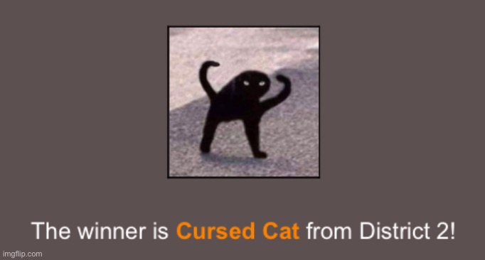 Good job Cursed Cat - Imgflip