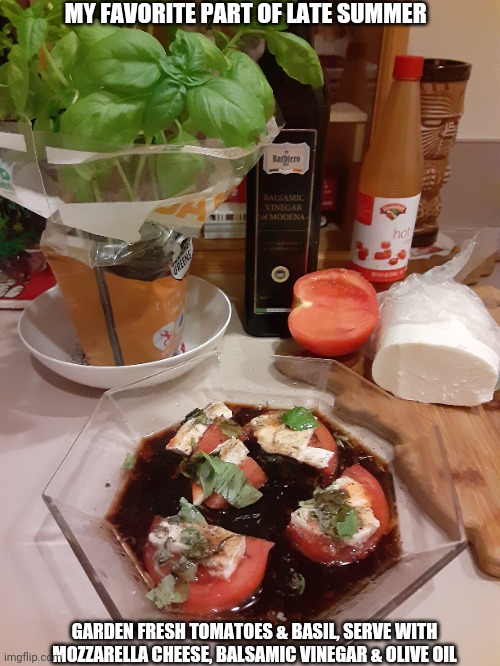 Oo boy that's tasty | MY FAVORITE PART OF LATE SUMMER; GARDEN FRESH TOMATOES & BASIL, SERVE WITH MOZZARELLA CHEESE, BALSAMIC VINEGAR & OLIVE OIL | image tagged in summer time,garden,treats | made w/ Imgflip meme maker