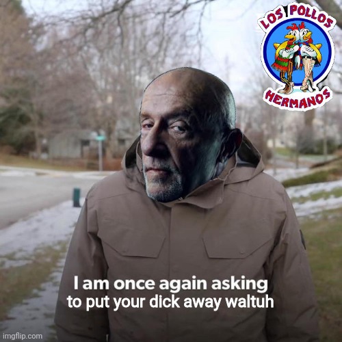 waltuh | to put your dick away waltuh | image tagged in memes,bernie i am once again asking for your support,breaking bad,better call saul | made w/ Imgflip meme maker