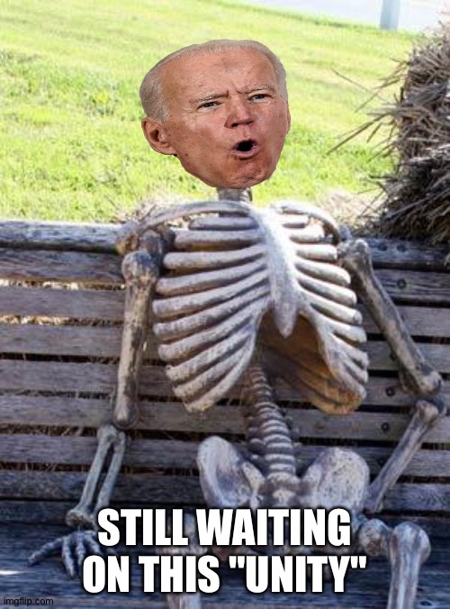 Waiting Skeleton | STILL WAITING ON THIS "UNITY" | image tagged in memes,waiting skeleton | made w/ Imgflip meme maker