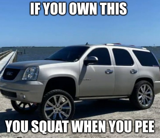 Carolina Squat |  IF YOU OWN THIS; YOU SQUAT WHEN YOU PEE | image tagged in carolina squat | made w/ Imgflip meme maker