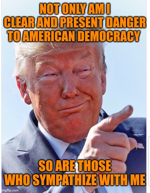 Trump pointing | NOT ONLY AM I CLEAR AND PRESENT DANGER TO AMERICAN DEMOCRACY; SO ARE THOSE WHO SYMPATHIZE WITH ME | image tagged in trump pointing | made w/ Imgflip meme maker