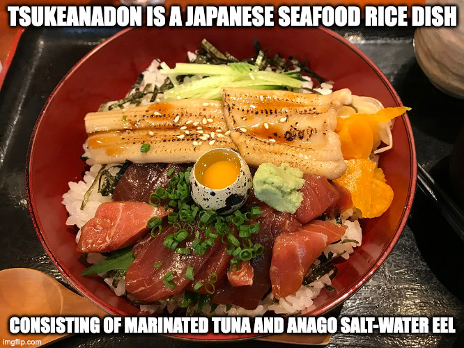 Zukeanadon | TSUKEANADON IS A JAPANESE SEAFOOD RICE DISH; CONSISTING OF MARINATED TUNA AND ANAGO SALT-WATER EEL | image tagged in food,memes | made w/ Imgflip meme maker