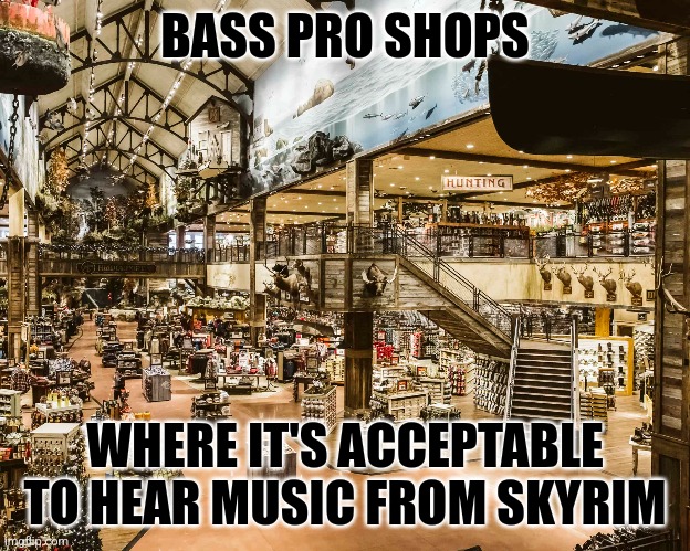 This is true if you think about it... Bass Pro is the closest thing to live action Skyrim | BASS PRO SHOPS; WHERE IT'S ACCEPTABLE TO HEAR MUSIC FROM SKYRIM | image tagged in skyrim,bass pro shops,it is acceptable,reality check | made w/ Imgflip meme maker
